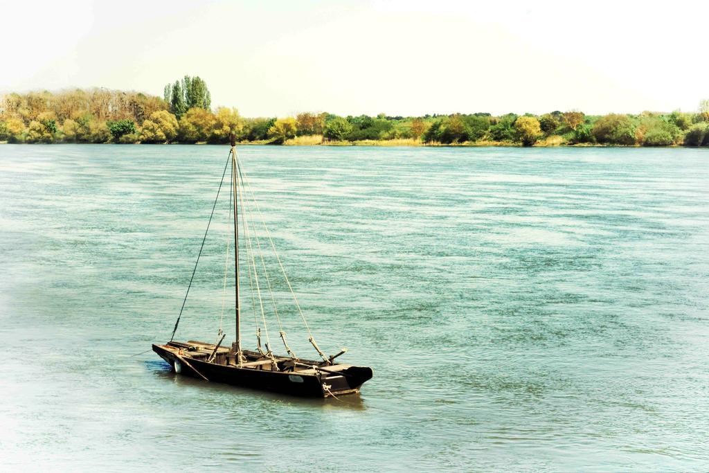 Logis Hotel Le Relais Louis XI Meung-sur-Loire Εξωτερικό φωτογραφία